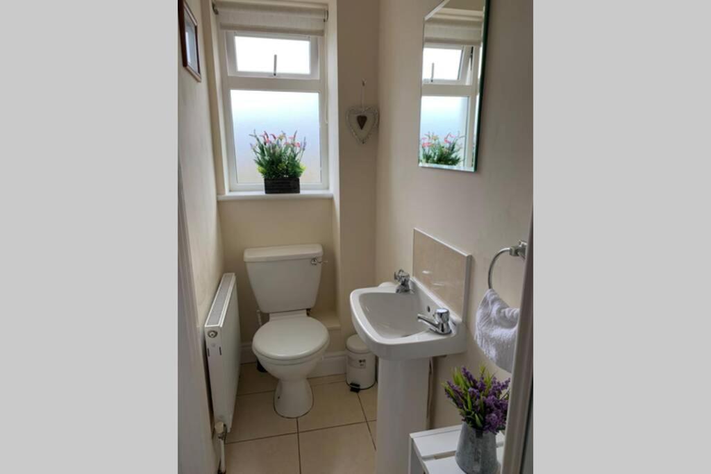 Two Bedroom Town House Beside The River Barrow Карлоу Екстериор снимка