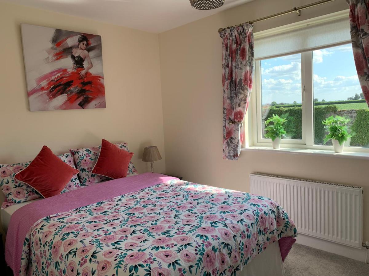Two Bedroom Town House Beside The River Barrow Карлоу Екстериор снимка